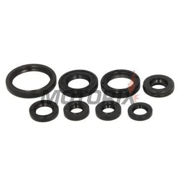 Sada gufer motoru -ATHENA- Yamaha YFM 660 2001-2005