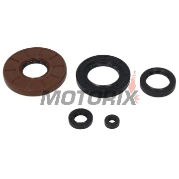 Sada gufer motoru -WINDEROSA- Honda TRX 500 2000-2014
