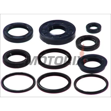 Kompletní sada gufer motoru -ATHENA- Aprilia Amico 50 1990-1999, Area 51 50 1999-2000, Gulliver 50 1993-1999, Rally 50 1993-2003, Scarabeo 50 1993-2005, Sonic 50 1998-2008, SR 50 1993-2001, Benelli 491 50 1997-2001