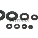 Sada gufer motoru -WINDEROSA- Honda TRX 420 2009-2022, Honda TRX 500 2015-2019, Honda TRX 520 2020-2022