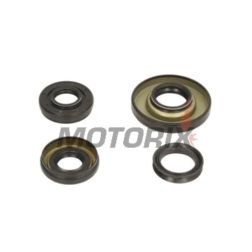 Opravná sada diferenciálu -ALL BALLS- Honda TRX 400 2002-2003, TRX 450 2002-2004, TRX 500 2000-2004