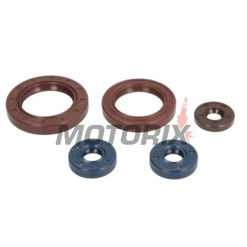 Sada gufer motoru -ATHENA- CAN-AM Outlander. 800 2008-2012, Renegade 800 2009-2011