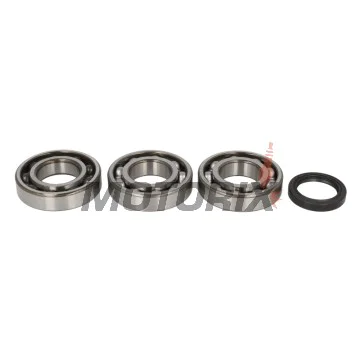 Sada ložisek a gufer klikové hřídele -4 RIDE- Polaris ATP 500 2004, Outlaw 525 2007-2011, Scrambler 500 2000-2003, Sportsman 400/500 2001-2004, Worker 500 2001-2002, Xplorer 500 1997