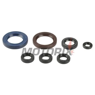 Kompletní sada gufer motoru -ATHENA- Beta RR 400/450/525 2005-2009, KTM EXC 400 2000-2006, EXC 520 2000-2002, EXC 250/450/525 2003-2006, EXC-G 250 Racing 2003, EXC-G 450/525 2003-2006, EXC-G 250/400 2004-2005