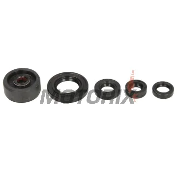 Sada gufer motoru -ATHENA- Honda CRM 125 2008-2010, Husqvarna SMR 125 2011-2013, SMS4-TE 125 2010-2011, TE 125 2011-2013, Yamaha WR 125 2009-2016