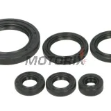 Sada gufer motoru -WINDEROSA- Honda TRX 650 2003-2005, Honda TRX 680 2006-2017