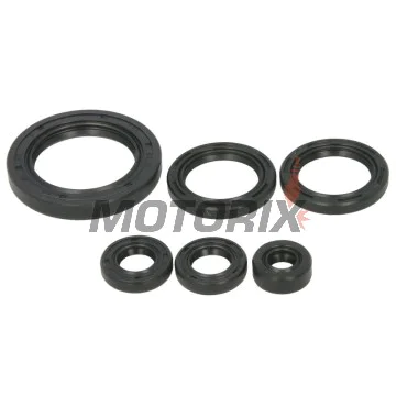 Sada gufer motoru -WINDEROSA- Honda TRX 650 2003-2005, Honda TRX 680 2006-2017