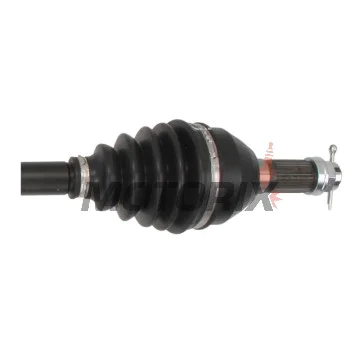 Poloosa -ALL BALLS- Can-Am Maverick 900 2017-2021
