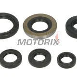 Sada gufer motoru -WINDEROSA- Honda TRX 400 2005-2014