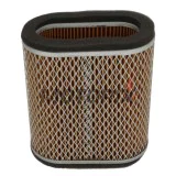 Vzduchový filtr -HIFLO FILTRO- HFA2405, Kawasaki KAF450 B1