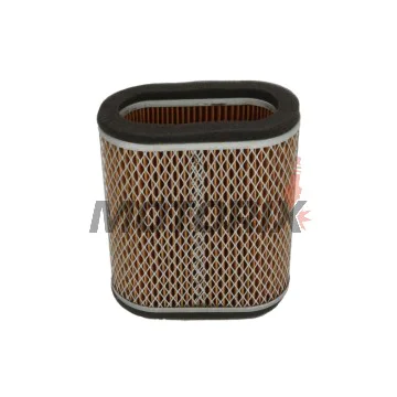 Vzduchový filtr -HIFLO FILTRO- HFA2405, Kawasaki KAF450 B1