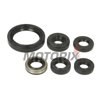 Sada gufer motoru -WINDEROSA- Kawasaki KFX 450 2008-2014