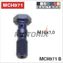 Banjo šroub -TRW- dvojitý, M10x1.00 (Brembo), titan
