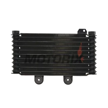 Chladič -4 RIDE- Suzuki GSF 600 1995-2004, Suzuki GSF 650 2005-2006