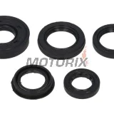 Sada gufer motoru -WINDEROSA- Arctic Cat Cat 90 2006, Arctic Cat Y-6 50 2004-2006