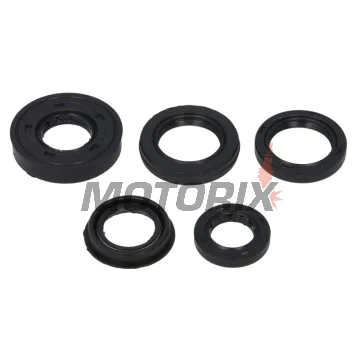 Sada gufer motoru -WINDEROSA- Arctic Cat Cat 90 2006, Arctic Cat Y-6 50 2004-2006