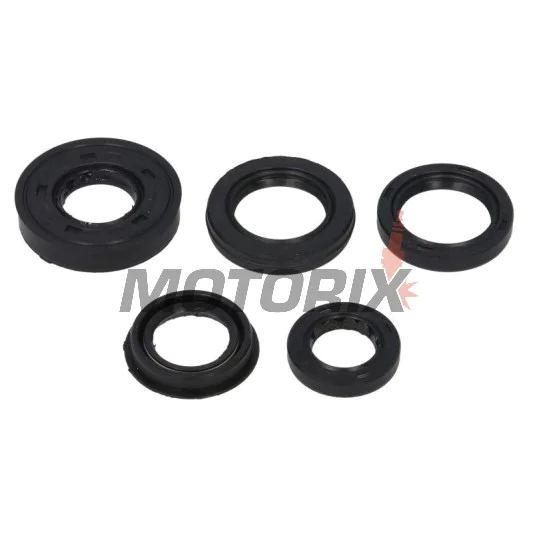 Sada gufer motoru -WINDEROSA- Arctic Cat Cat 90 2006, Arctic Cat Y-6 50 2004-2006