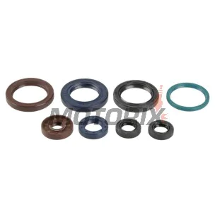 Sada gufer motoru -ATHENA- KTM EXC-F 250 2005-2018, SX-F 250 2006-2012, XC-F 250 2007-2012, XCF-W 250 2006-2013