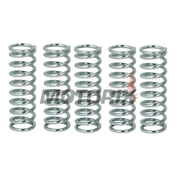 Sada pružin spojky -TRW- MEF144-6, Honda CB1100SF 2000-2003, CBR1100XX Blackbird 1999-2008, VTR1000 SP1/SP2 2000-2007, Suzuki GS500E/F 1989-2011