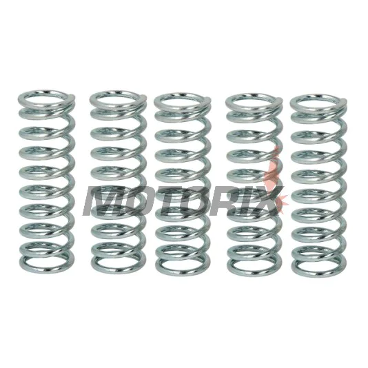Sada pružin spojky -TRW- MEF144-6, Honda CB1100SF 2000-2003, CBR1100XX Blackbird 1999-2008, VTR1000 SP1/SP2 2000-2007, Suzuki GS500E/F 1989-2011