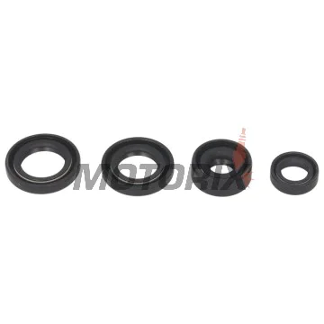 Sada gufer motoru -WINDEROSA- Honda TRX 90 1993-2005
