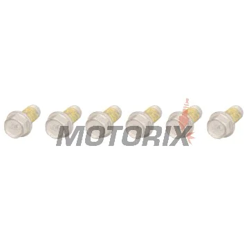 Šrouby brzdového kotouče -TRW- MSS124-6, M6x1.00mm, 13mm, 6ks