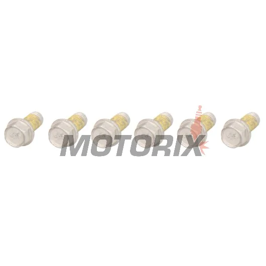 Šrouby brzdového kotouče -TRW- MSS124-6, M6x1.00mm, 13mm, 6ks