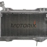 Chladič -4 RIDE- Suzuki LT-R 450 2006-2009