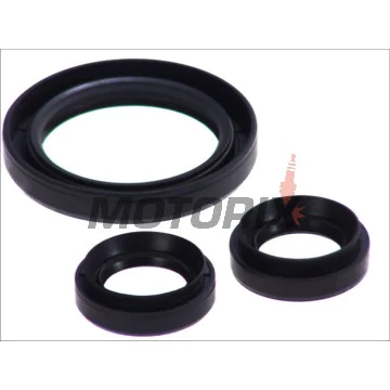 Opravná sada diferenciálu -ALL BALLS- Yamaha YFM 350 2004-2014, YFM 400 2000-2005, YFM 450 2006-2010
