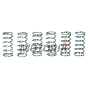 Sada pružin spojky -TRW- MEF138-6, Kawasaki ZR750 Zephyr 1996-1998, ZRX1200R 2001-2006, ZX-9R Ninja 900B 1995-1997