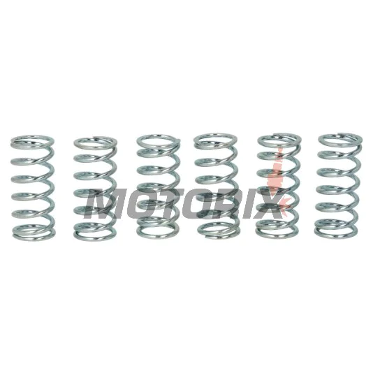 Sada pružin spojky -TRW- MEF138-6, Kawasaki ZR750 Zephyr 1996-1998, ZRX1200R 2001-2006, ZX-9R Ninja 900B 1995-1997