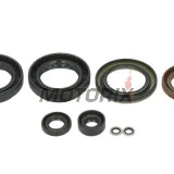 Sada gufer motoru -WINDEROSA- Arctic Cat Arctic Cat 500 2013-2014, Arctic Cat TRV 500 2013-2014