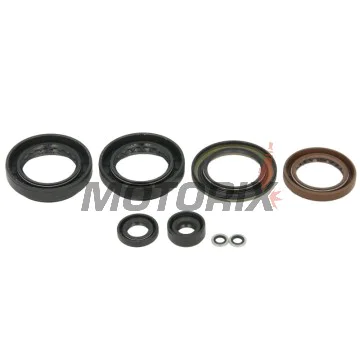 Sada gufer motoru -WINDEROSA- Arctic Cat Arctic Cat 500 2013-2014, Arctic Cat TRV 500 2013-2014