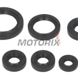 Sada gufer motoru -WINDEROSA- Kawasaki KEF 300 1995-2003
