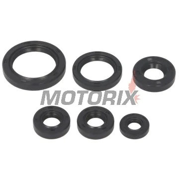 Sada gufer motoru -WINDEROSA- Kawasaki KEF 300 1995-2003