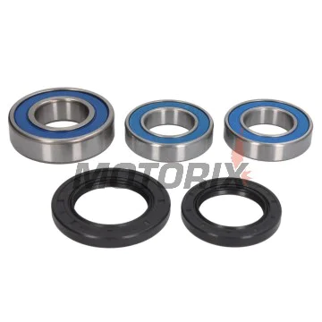Sada ložisek kola -ALL BALLS- Yamaha TDM 900 2002-2006, XJR 1300 2002-2003, YZF 1000 1996-2001, YZF 750 1994-1998