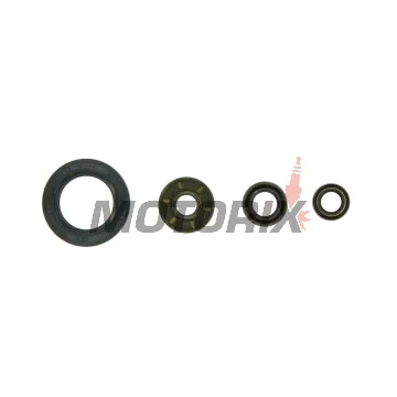Sada gufer motoru -ATHENA- KTM Adventure 990 2006-2014, LC8 950 2002-2006, LC8 990 2005-2010, Super Duke 990 2007-2013, Super Enduro 950 2006-2011, Supermoto 950 2005-2008, Supermoto 990 2008-2013