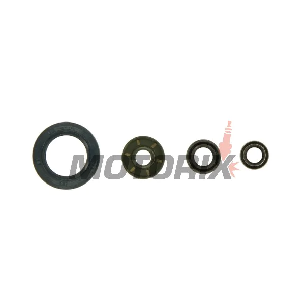 Sada gufer motoru -ATHENA- KTM Adventure 990 2006-2014, LC8 950 2002-2006, LC8 990 2005-2010, Super Duke 990 2007-2013, Super Enduro 950 2006-2011, Supermoto 950 2005-2008, Supermoto 990 2008-2013