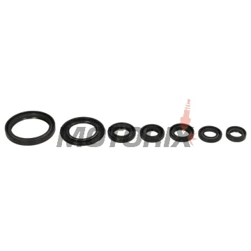 Sada gufer motoru -WINDEROSA- Yamaha YFM 700 2006-2024