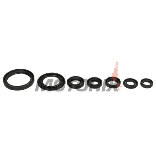 Sada gufer motoru -WINDEROSA- Yamaha YFM 700 2006-2024