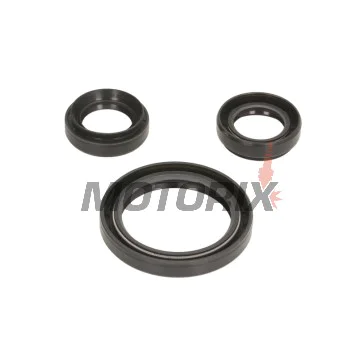 Opravná sada diferenciálu -ALL BALLS- Yamaha YFM 350 2007-2011, YFM 400 2007-2012, YFM 450 2003-2014, YFM 550 2009-2014, YFM 660 2002-2008, YFM 700 2007-2016, YFM 850 2012