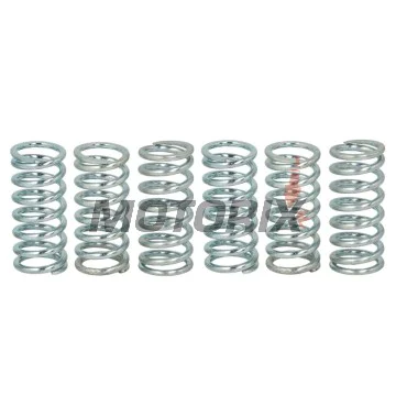 Sada pružin spojky -TRW- MEF160-6, Aprilia ETV1000 Caponord (2001-2008), Moto 650 (1995-2000), Pegaso 650/650ie/Garda (1993-2004), RST1000 Mille Futura (2001-2004), RSV Mille/RSV1000R (1998-2010), SL1000 Falco (2000-2005), Tuono 1000R (2004-2005)
