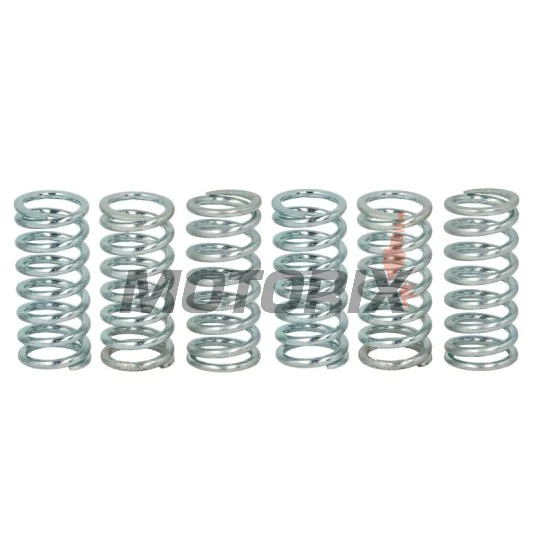 Sada pružin spojky -TRW- MEF160-6, Aprilia ETV1000 Caponord (2001-2008), Moto 650 (1995-2000), Pegaso 650/650ie/Garda (1993-2004), RST1000 Mille Futura (2001-2004), RSV Mille/RSV1000R (1998-2010), SL1000 Falco (2000-2005), Tuono 1000R (2004-2005)