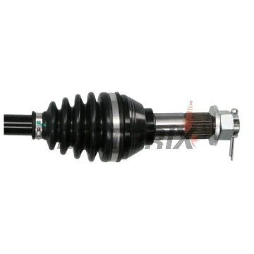 Poloosa -ALL BALLS- Can-Am Defender 1000 2016-2019, Defender 500 2017-2021, Defender 800 2016-2021