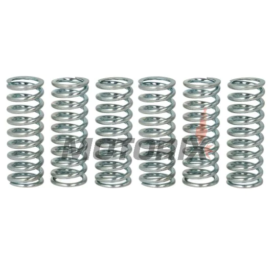 Sada pružin spojky -TRW- MEF152-6, Suzuki GSR600/600A ABS 2006-2011, GSX-R600 2004-2005, GSX-R750 2000-2005, VLR1800 Intruder/C/RT 2008-2013