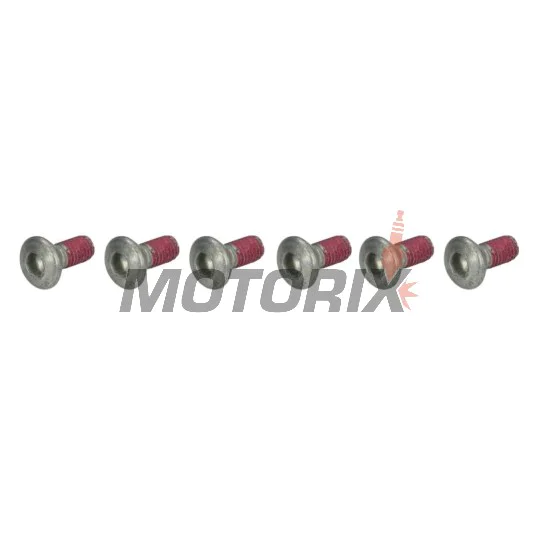 Šrouby brzdového kotouče -TRW- MSS111-6, M6x1.25mm, 17mm, 6ks