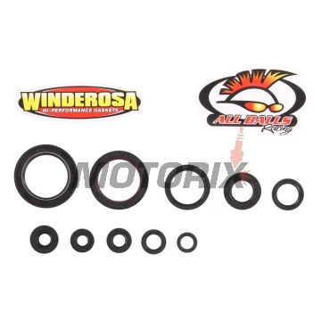 Sada gufer motoru -WINDEROSA- Honda CRF 450 2006-2008