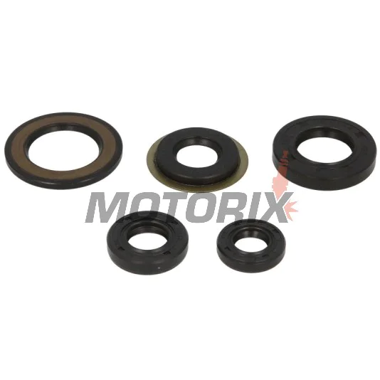 Sada gufer motoru -WINDEROSA- Yamaha TT-R 225 1999-2004, Yamaha TT-R 230 2005-2022, Yamaha XT 225 1992-2007