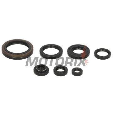 Sada gufer motoru -WINDEROSA- Suzuki RM 250 1994-1995