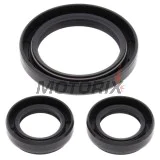 Opravná sada diferenciálu -ALL BALLS- Yamaha YFM 350 2004-2014, YFM 400 2000-2005, YFM 450 2006-2010